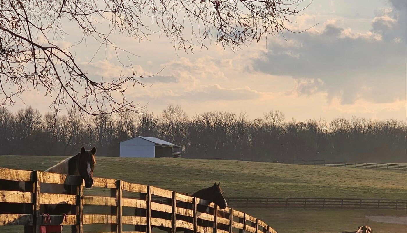 Shelby County: A Day In Kentucky Bourbon Country